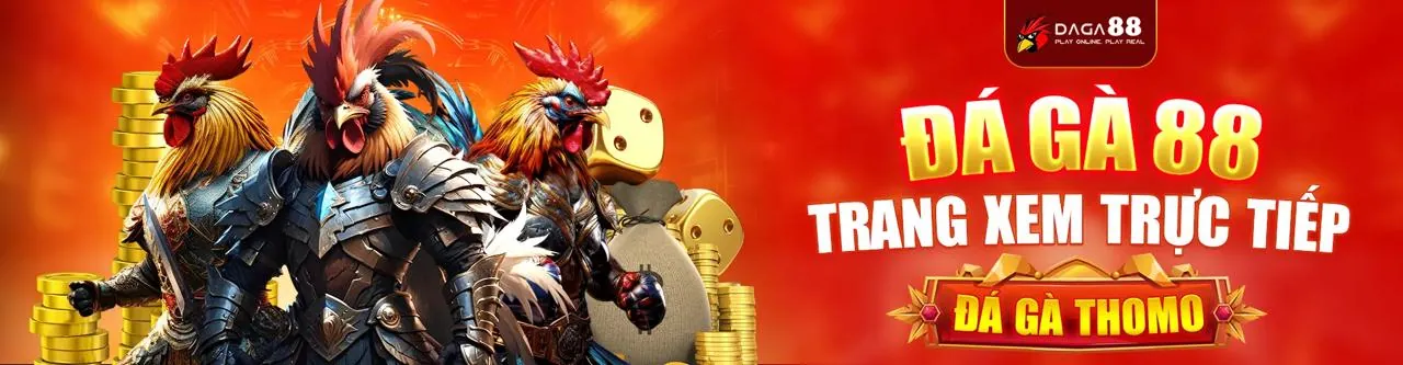 Sân đấu đá gà trực tuyến kịch tính tại xocdia88